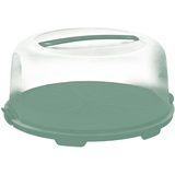 Rotho Fresh hoher Tortendeckel mit Haube und Tragegriff, Kunststoff (PP) BPA-frei, türkis/transparent, (35.5 x 34.5 x 16.5 cm,