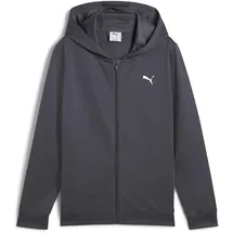 Puma Tad Galacticgray 152