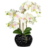Creativ-green Kunstblume Orchidee, Phalaenopsis, grüncreme, in Keramik-Topf, Höhe 55 cm