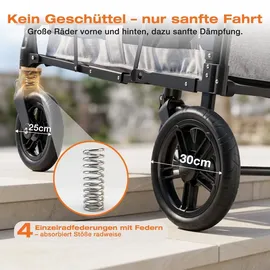 Sekey Bollerwagen faltbar grau