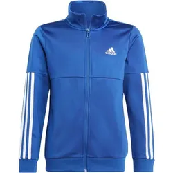 ADIDAS Kinder Sportanzug B TEAM TS, ROYBLU/WHITE, 176
