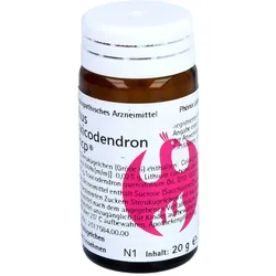 Rhus toxicodendron Phcp