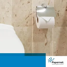 PAPERNET Camping Toilettenpapier 2-lagig 64 Rollen