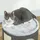 PawHut Kratztonne 30 cm grau