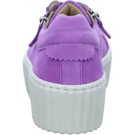 Gabor Sneaker Low Lila Damen 38
