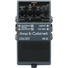 Boss IR-2 Amp & Cabinet