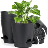 luxuskollektion Blumentopf selbstbewässernd 15,2 cm Ø 15,2 cm Schwarz