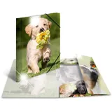 Herma Sammelmappe Tiere A4 hunde