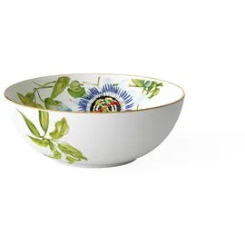Villeroy & Boch Amazonia Schüssel bunt 21 cm