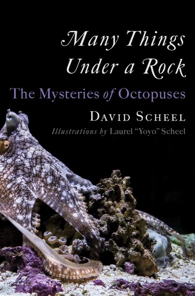 Many Things Under a Rock: The Mysteries of Octopuses: eBook von David Scheel