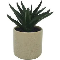 Kunstpflanze Aloe 15 cm Kunststoff Grün