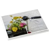 Bene! vielen Dank - Postkartenbuch