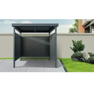 Floraworld Universal-Unterstand  (Außenmaß inkl. Dachüberstand  (B x T): 214 x 214 cm, Stahl)