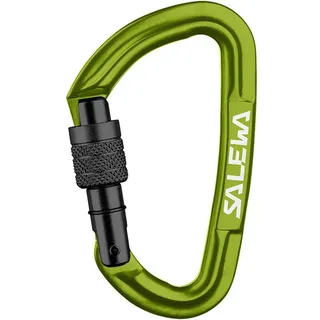 Salewa Hot G3 Screw Snap Hook Grün,Grün
