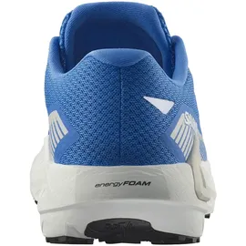 Salomon Drx Defy Grvl Herren French Blue/White/Cherry Tomato 44