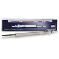 BorgWarner (Beru) Beru GE114