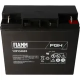 Fiam Blei-Akku FGH21803 1 St.