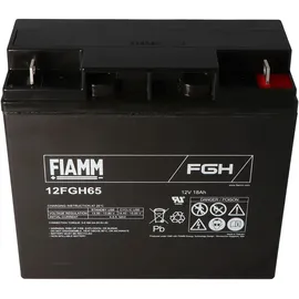 Fiam Blei-Akku FGH21803 1 St.