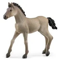 Schleich Horse Club 13949 Criollo Definitivo Fohlen Spielfigur 4059433486673 Schleich