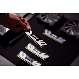Kingston FURY Renegade - DDR5 - Modul - 48 GB