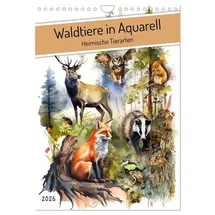 Calvendo Waldtiere in Aquarell - Heimische Tierarten (Wandkalender 2026 DIN A4 hoch), CALVENDO Monatskalender: Kalender für Kinder mit heimischen Tierarten (CALVENDO Tiere)