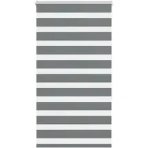 vidaXL Doppelrollo Zebrarollo 75 x 150 cm Dunkelgrau