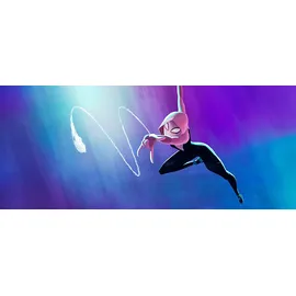 Spider-Man: Across the Spider-Verse