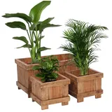 DESIGN DELIGHTS Übertopf-Set, Natur, Holz, 80x40x40 cm, Dekoration, Blumen & Zubehör, Übertöpfe