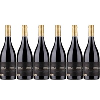 6x Dornfelder trocken "Hölle", 2019 - Weingut Bus, Pfalz! Wein