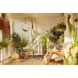 Siena Garden Yobaya Light Green
