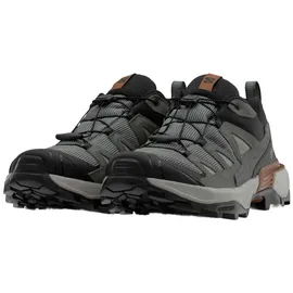 Salomon Herren X Ultra 360 LTR GTX Schuhe (Größe 43 , grau)