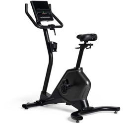 Schwinn Ergometer 590U