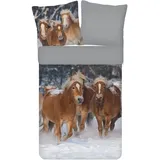 ESPiCO Bettwäsche Trendy Bedding Pferde Haflinger Schnee Winter Fell Stute Wendeoptik Flanell, Größe:135 cm x 200 cm