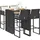 vidaXL Gartenbar Set 5-tlg. Schwarz