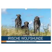 Calvendo Irische Wolfshunde (Wandkalender 2026 DIN A3 quer), CALVENDO