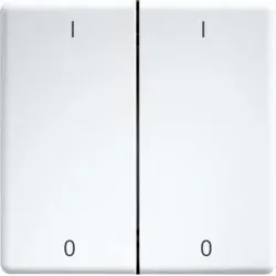 ELTAKO Doppelwippe lasergraviert DW-FT55-wg+IO