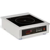 Abangdun Gewerbliches Induktionskochfeld 3500W – Kommerzielles Induktionskochplatte mit 16 Leistungsstufen, 60–240°C, 18h-Timer, Edelstahl & Glas, für Gastronomie, Restaurant & Küche (220V~240V)