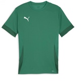 Puma teamGOAL Matchday Jersey, Unisex-Erwachsene Fußballtrikot, sport Green-PUMA White-Power green
