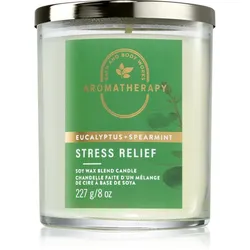 Bath & Body Works Stress Relief Duftkerze 227 g