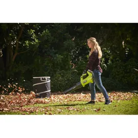 RYOBI Gartensack Faltbar RAC368 150 l