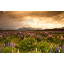 Fototapete PAPERMOON "GEBIRGE-FLUSS SEE BERGE WALD HIMMEL BACH WIESE BLUMEN", bunt, B:4,00m L:2,60m, Vlies, Tapeten