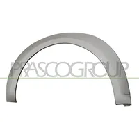 PRASCO Zier-/Schutzleiste, Kotflügel FD9341583