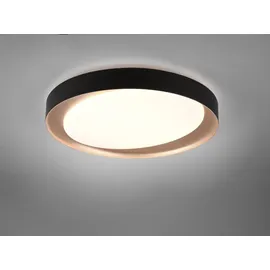 Trio Zeta R62712402