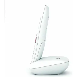 Gigaset E290