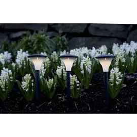 Best Season Solarleuchte schwarz 37,5 x 11 cm 3er Set