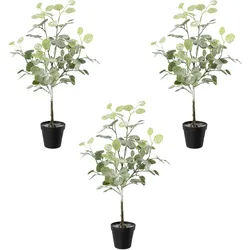 CREATIV green künstliche Pflanze Eukalyptus geeist im Topf, 58 cm, frost, 3er Set