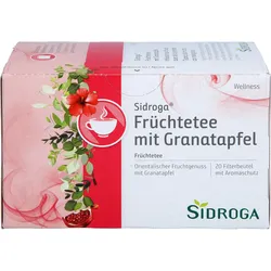 SIDROGA WELL FRUECHT+GRANA 20X2.0 g