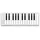 ESI Xkey 25