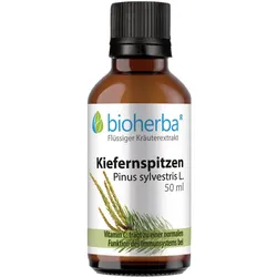 Kiefernspitzen  Pinus sylvestris L.  Tropfen  Tinktur 50 ml