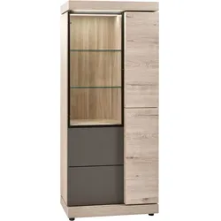 Vitrine vito CONDUCT - BHT 80x190x50 cm
